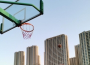 半岛体育在线-捷克队员奋力拼搏，晋级四强