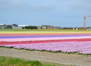 半岛体育网站-利物浦多点开花，备战进攻火力爆发
