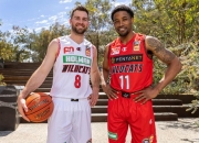 半岛体育网页版入口-戈多伊鸽逆袭，球队取得意外胜利