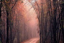 半岛体育官方-第戎球队志在必得——全力追求比赛胜利的背后故事