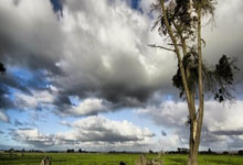 半岛体育官网入口-热门篮球对决激烈上演，引爆精彩球场战役