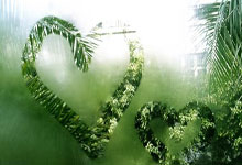 半岛体育官方-第戎球队志在必得——全力追求比赛胜利的背后故事