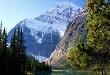 半岛体育网页版-弗兰克福失分后反弹迅速，出色表现再战成功