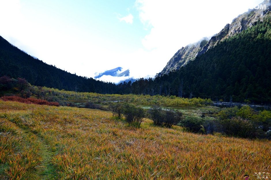 高山之巅再战，冠军魅影将尽显的简单介绍