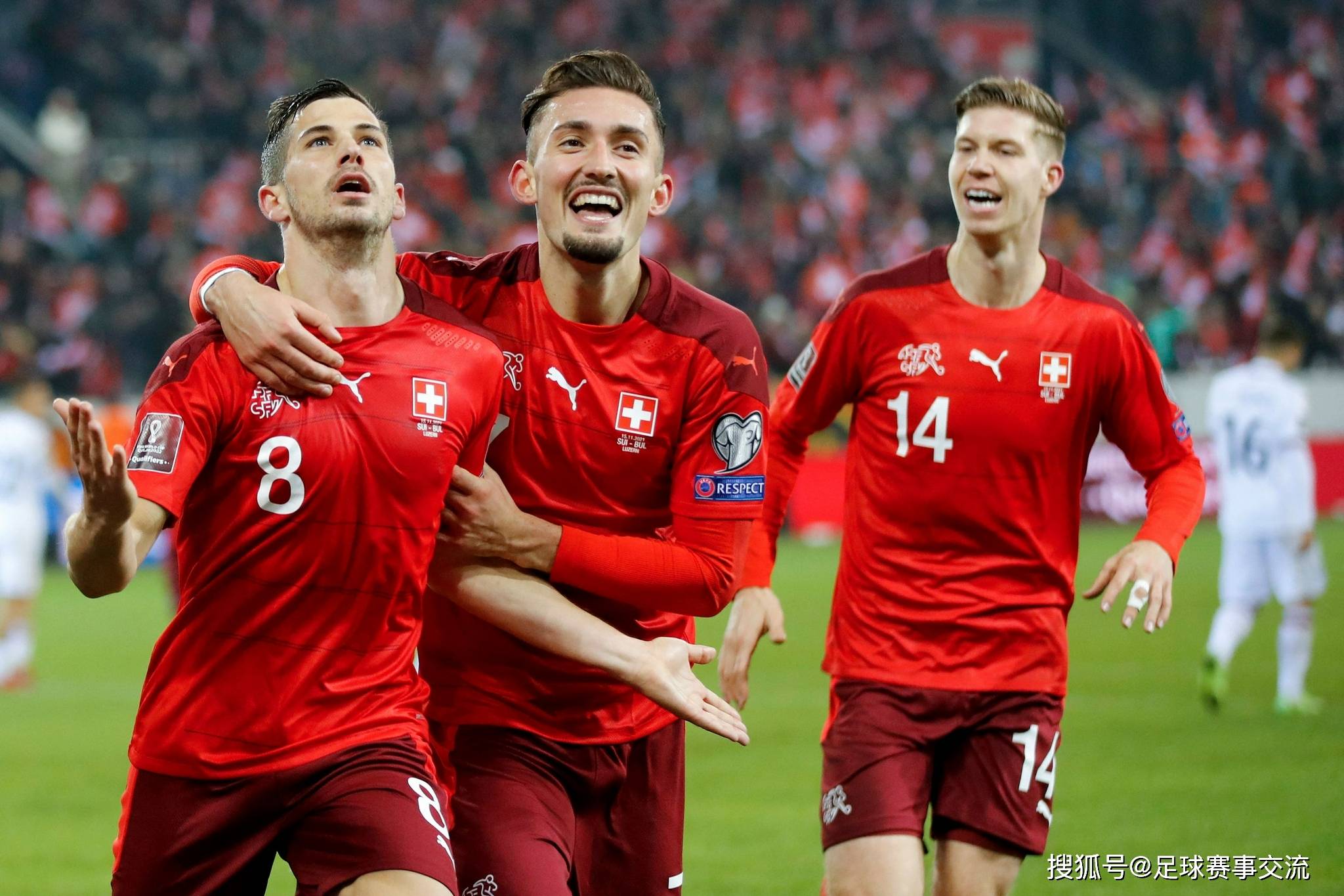 捷克队备战挪威友谊赛，力争取胜