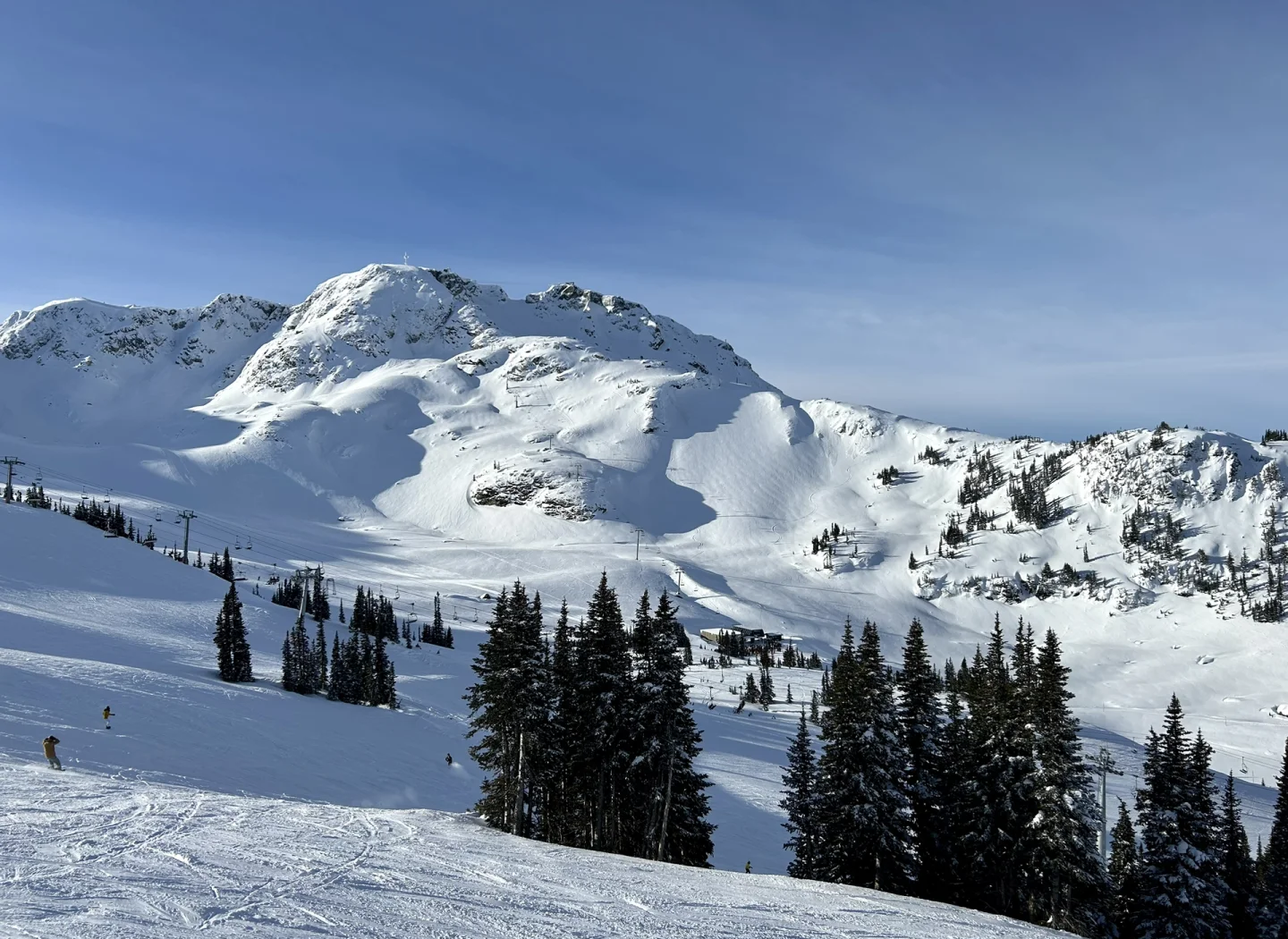 包含加拿大滑雪运动员出众表现，摘金夺冠的词条